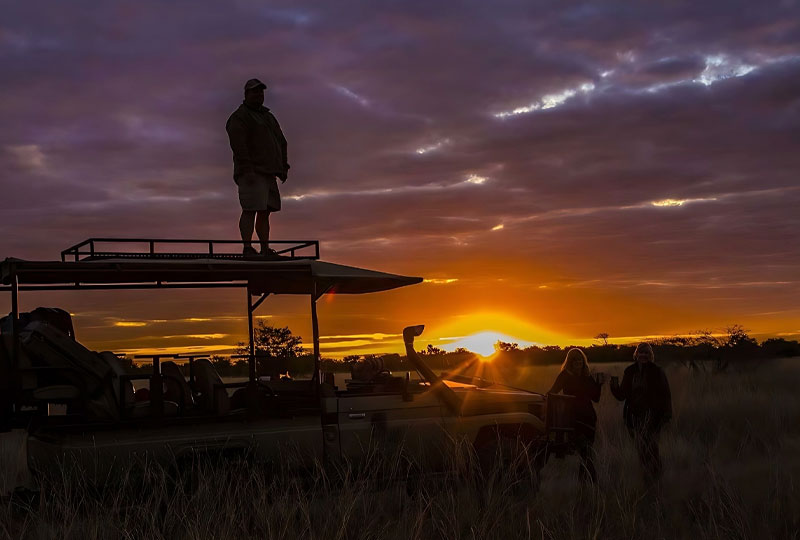 Tanzania-Safari-Night-Drives-Spotting-Nocturnal-Animals