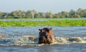 Tanzania-Safari-Rainy-Season-Why-Green-Season-Works