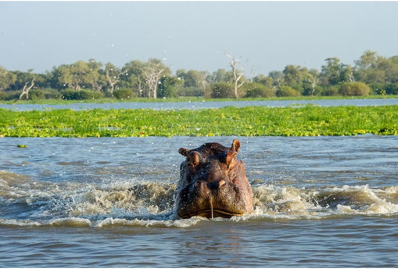 Tanzania-Safari-Rainy-Season-Why-Green-Season-Works