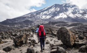 Tanzania -Safari -Success -Rates -Kilimanjaro