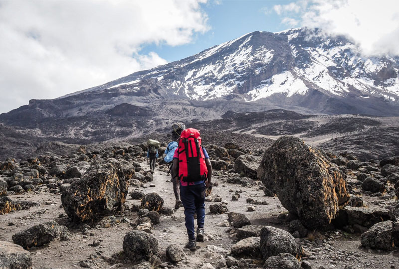 Tanzania -Safari -Success -Rates -Kilimanjaro