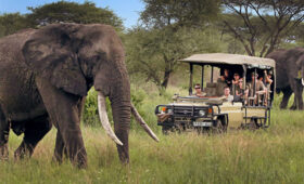 Tanzania-Safari-Visa-and-Entry-Requirements