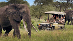 Tanzania-Safari-Visa-and-Entry-Requirements
