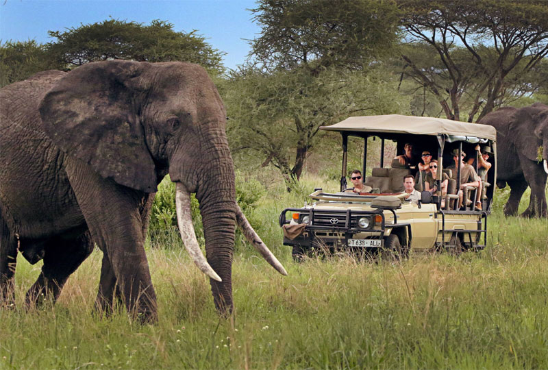 Tanzania-Safari-Visa-and-Entry-Requirements