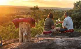 Tanzania-Safari-for-Seniors-Comfortable-and-Safe-Travel