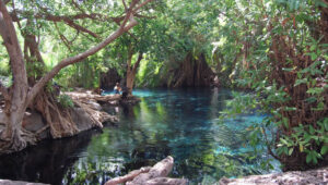 Tanzania-Wildlife-Safari-&-Hot-Springs-Tour