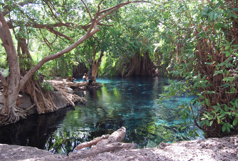Tanzania-Wildlife-Safari-&-Hot-Springs-Tour