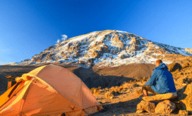 Top Kilimanjaro Travel Blogs to Follow
