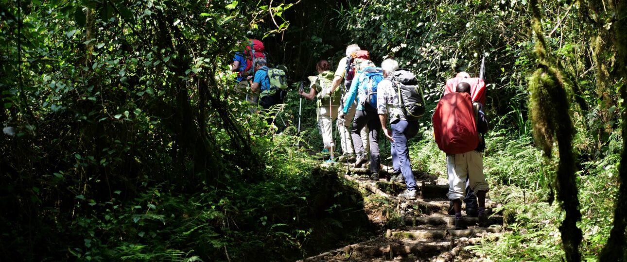 Umbwe Route: The Most Challenging Path to Kilimanjaro