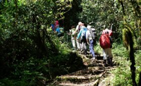 Umbwe Route: The Most Challenging Path to Kilimanjaro
