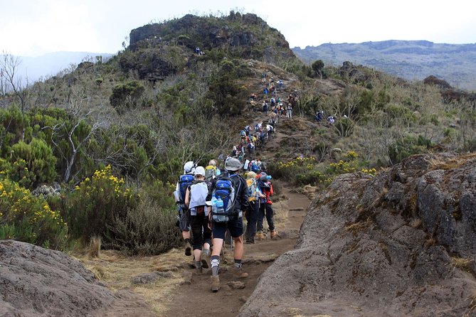 Unique Experiences on the Kilimanjaro Trail