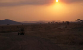 Why-Tanzania-Safaris-Are-Ideal-for-First-Time-Visitors