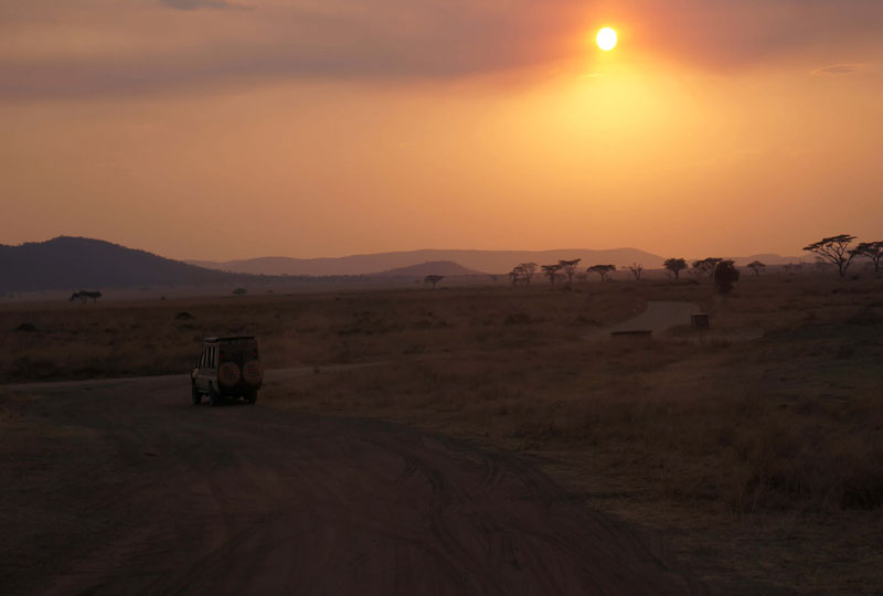 Why-Tanzania-Safaris-Are-Ideal-for-First-Time-Visitors