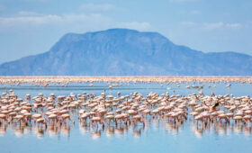 Why-Visit-Lake-Natron-on-Your-Safari
