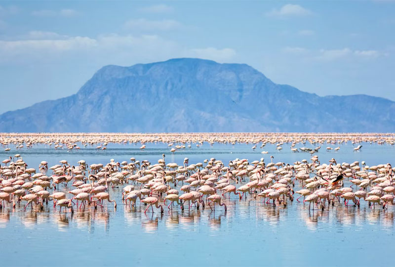 Why-Visit-Lake-Natron-on-Your-Safari