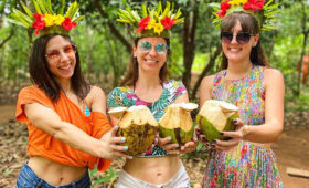 Zanzibar Day Trips: Spice Farms, Jozani Forest & More