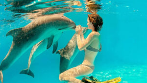 Zanzibar Dolphin Tours: Are They Ethical?