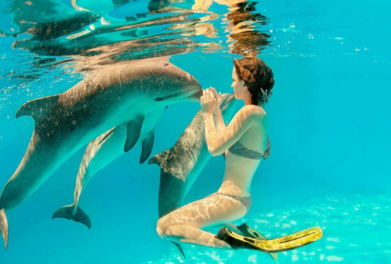 Zanzibar Dolphin Tours: Are They Ethical?