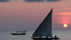 Zanzibar vs Seychelles: A Complete Comparison