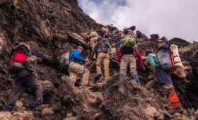 Mount Kilimanjaro Facts for First-Time Climbers