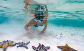 Best Zanzibar Beaches for Snorkeling Right Off Shore