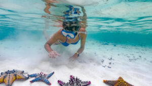 Best Zanzibar Beaches for Snorkeling Right Off Shore
