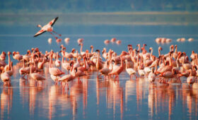 Cultural Day Tour Near Lake Manyara