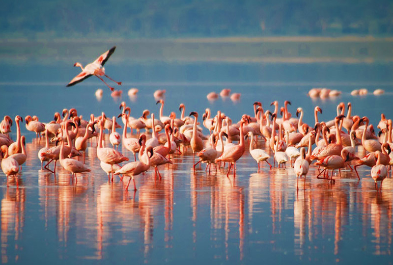 Cultural Day Tour Near Lake Manyara