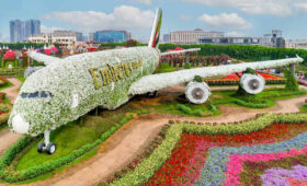 Dubai’s-Best-Parks-and-Green-Spaces-for-Families-from-Tanzania