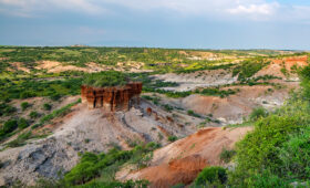 Explore Olduvai Gorge: Cradle of Humanity