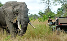 Getting-Vaccinated-Before-a-Tanzania-Safari