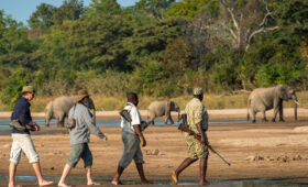 Guided Walking Safaris in South Africa