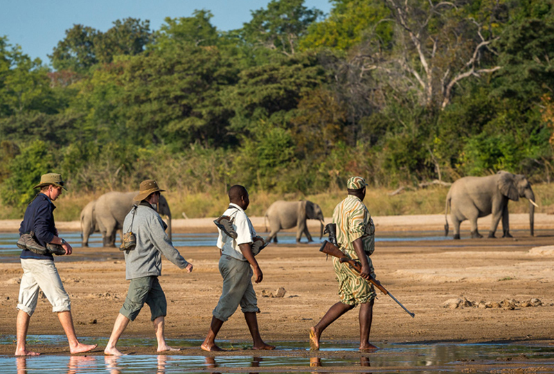 Guided Walking Safaris in South Africa