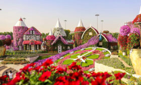 How-to-Enjoy-Dubai’s-Miracle-Garden-on-a-Budget