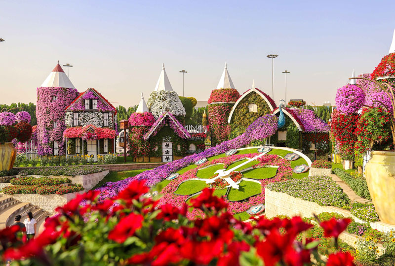 How-to-Enjoy-Dubai’s-Miracle-Garden-on-a-Budget