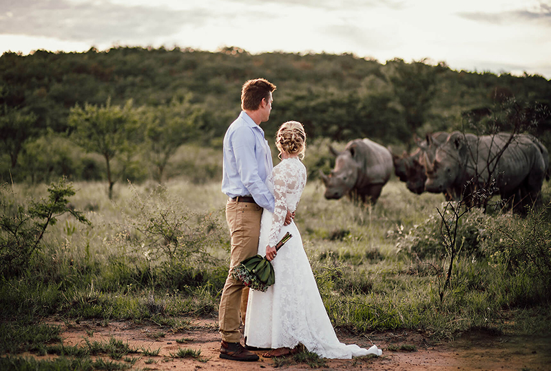 How to Plan a Safari Wedding in South Africa