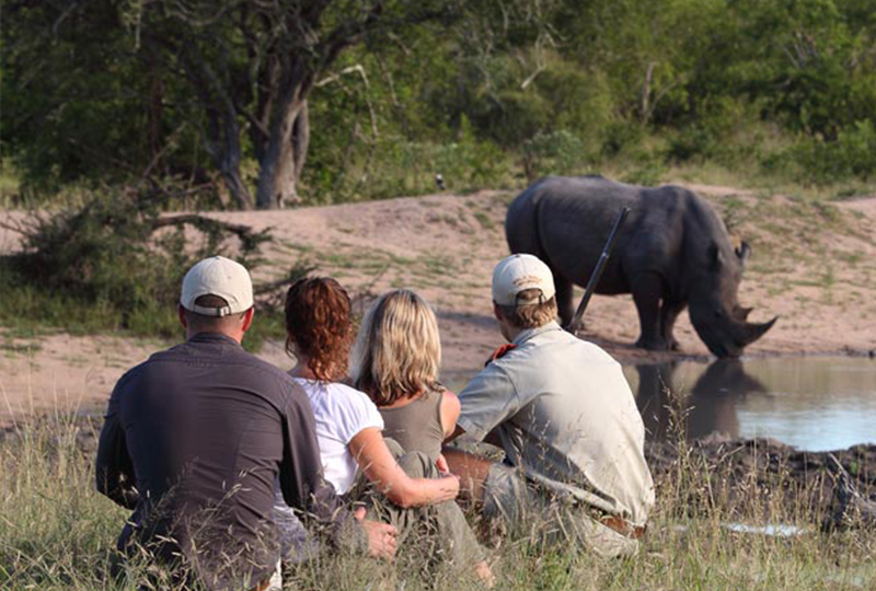 How to Travel Between South Africa’s Game Reserves