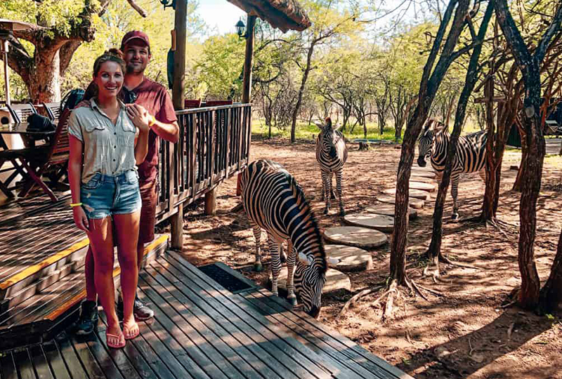 Kruger National Park Safari Costs Explained