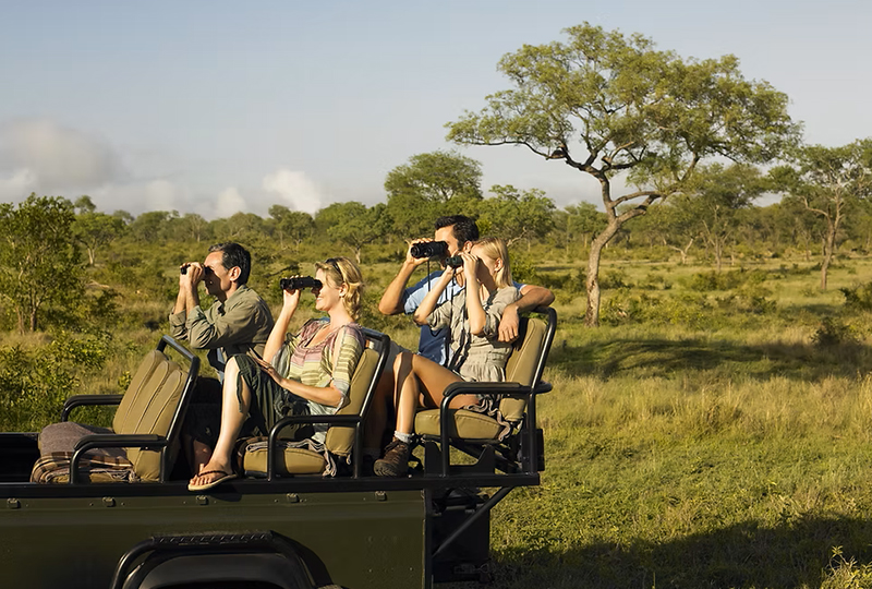 Luxury Safari Experiences in South Africa