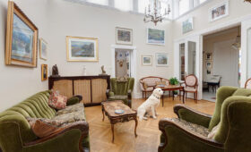 Pet-Friendly Resorts in Zanzibar
