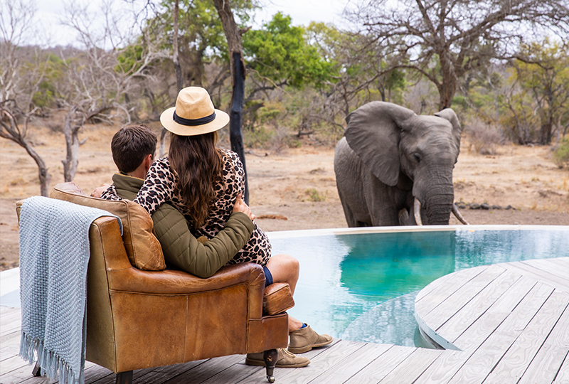 Safari Camps Near Cape Town