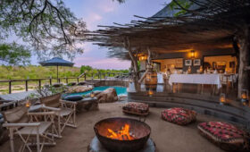 Safari Lodges in Kruger National Park: Luxury and Budget Options
