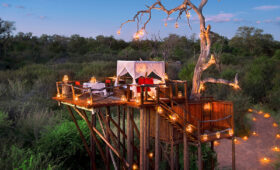 Safari Lodges in Sabi Sands Game Reserve