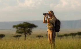 Safari for Solo Travelers in South Africa