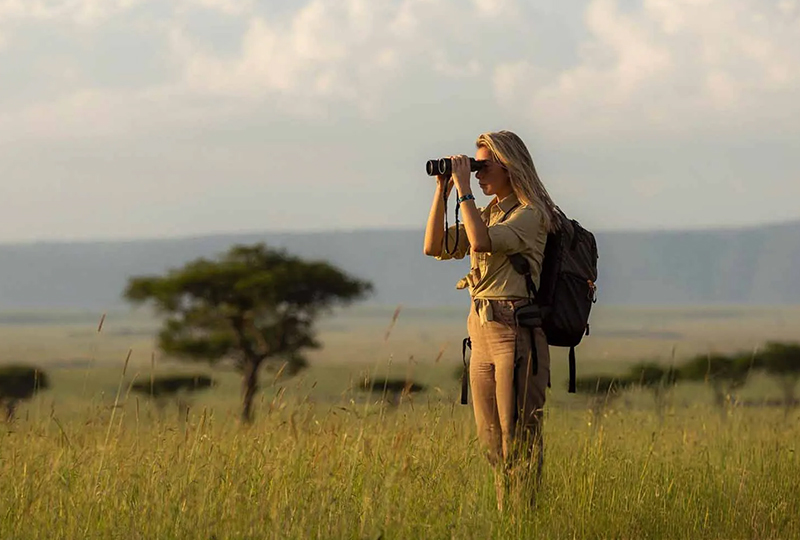 Safari for Solo Travelers in South Africa