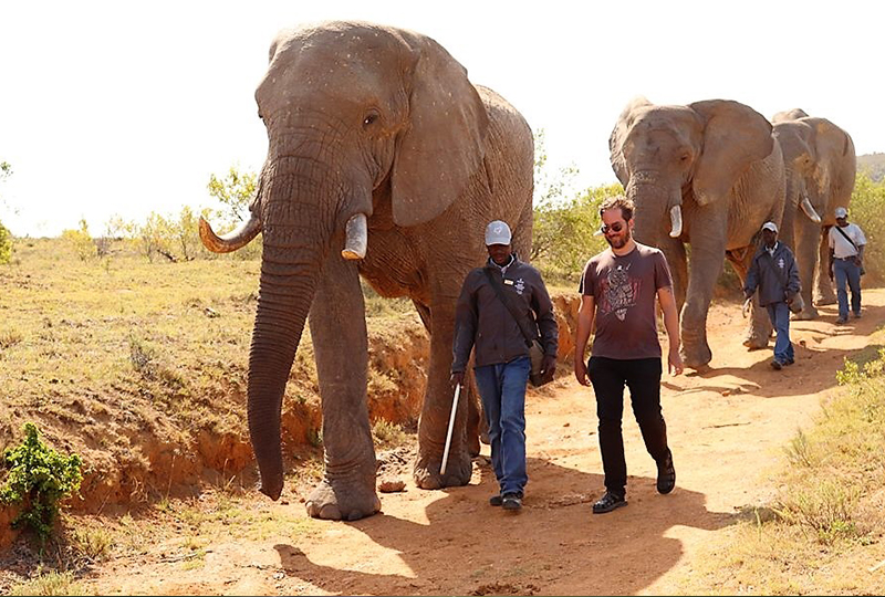 Safari in Addo Elephant National Park: What to Know