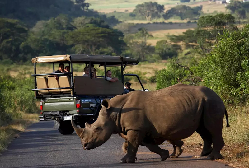Safari in Hluhluwe-Imfolozi Park: Top Attractions