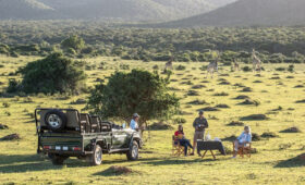 Safari in Kariega Game Reserve