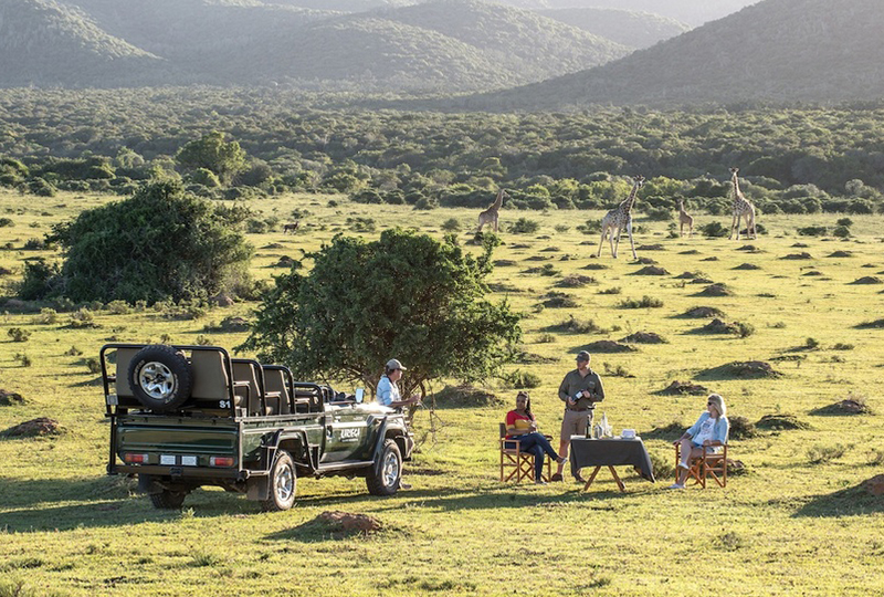 Safari in Kariega Game Reserve