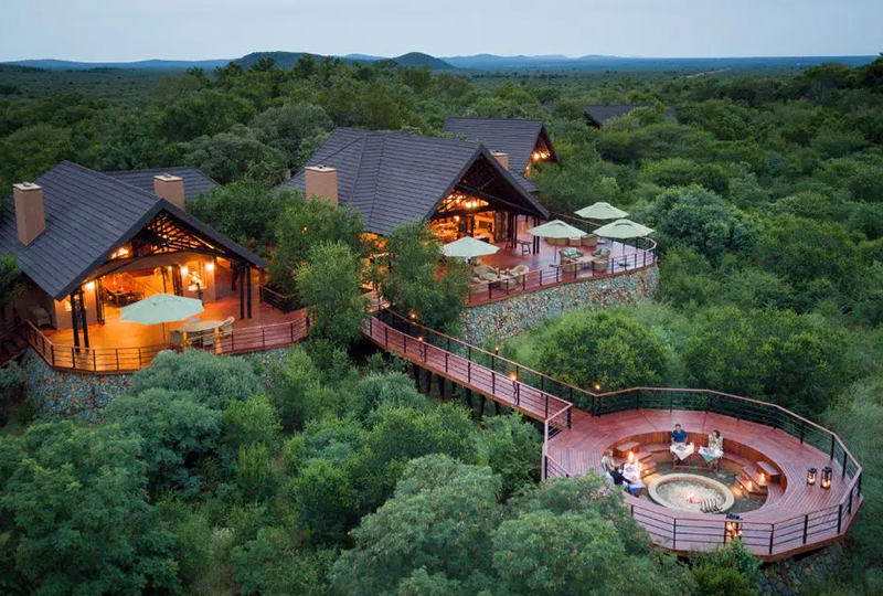 Safari in Madikwe Game Reserve: A Hidden Gem